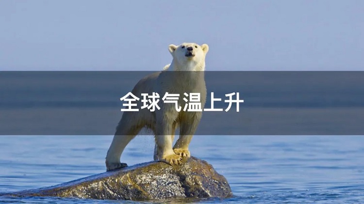 螞蟻商聯(lián)攜手金好來超市發(fā)起“以竹代木，翠我山河”植樹節(jié)活動，從改變生活習(xí)慣開始！喊你為公益接力~